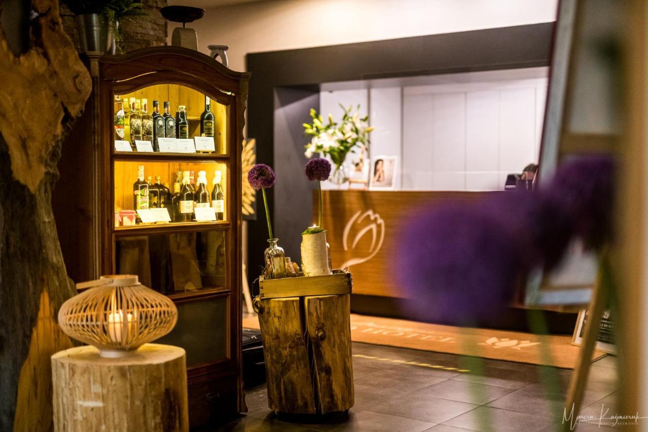 Boutique Eco Hotel Sasanka Szklarska Poręba Exterior foto